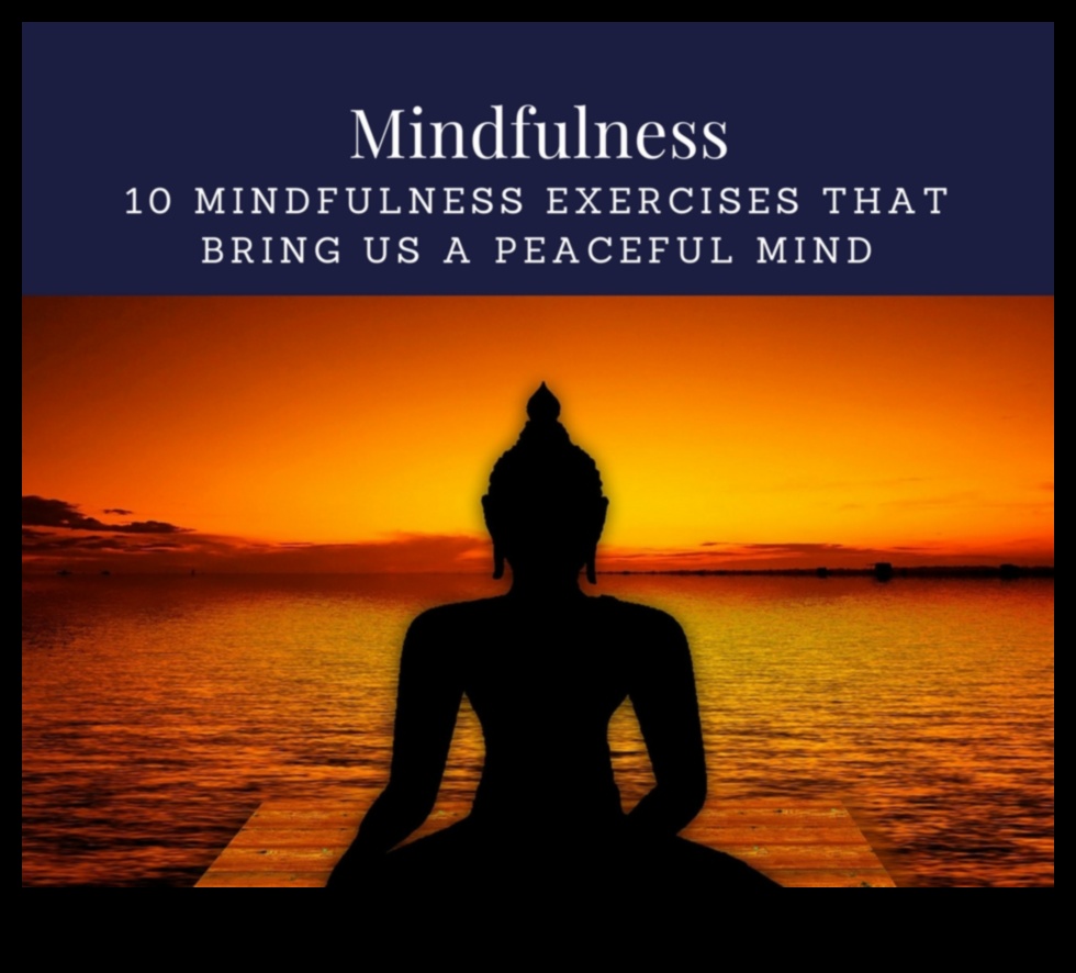 العقول السلمية: تحويل الصحة العقلية اليومية من خلال التأمل