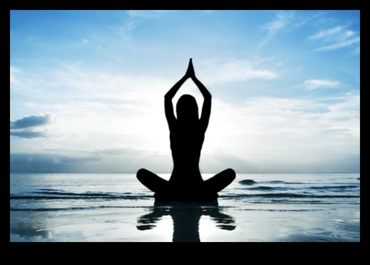 العقول السلمية: تحويل الصحة العقلية اليومية من خلال التأمل