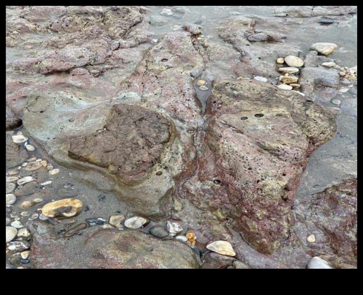 كشفت آثار الأقدام عن دليل خطوة بخطوة لاستكشاف العالم 5 تم الكشف عن آثار الأقدام: استكشاف العالم خطوة بخطوة