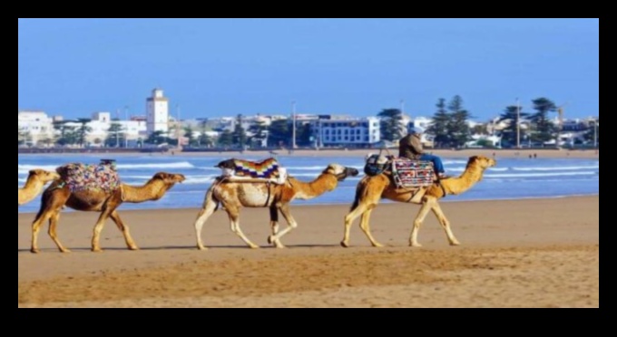 الشروع في التميز: دليل السفر النهائي