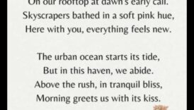 Sunrise Serenade: ابدأ يومك بالنعمة البوهيمية