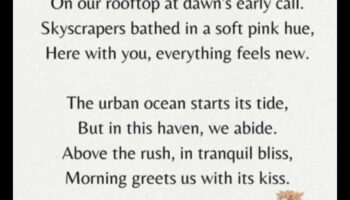 Sunrise Serenade: ابدأ يومك بالنعمة البوهيمية