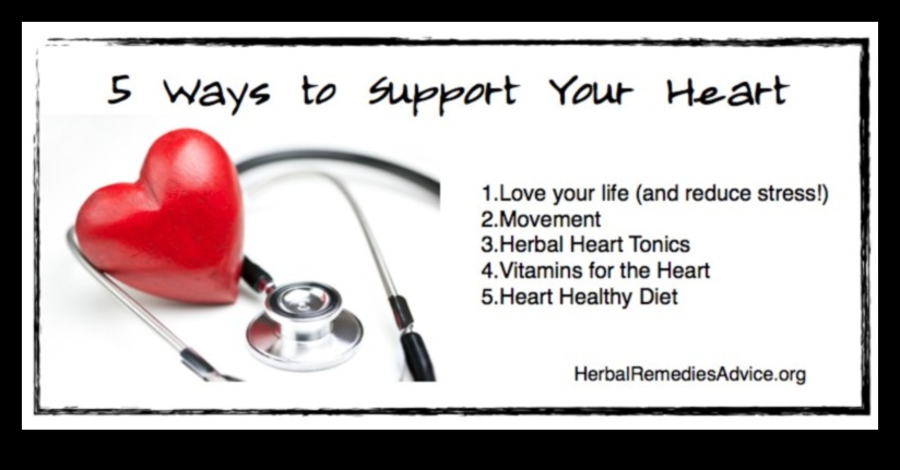 الطريق السريع لصحة القلب: التنقل في العافية مع تمارين القلب