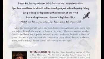 ملاحو الأحياء: استكشاف عجائب محلية مجهولة