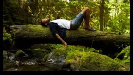 روتينات التمرين انجرف مع التيار الغابات الهادئة على الشخصية 2 تدفق الغابة: تمارين في الهواء الطلق محاطة بالأشجار الهادئة