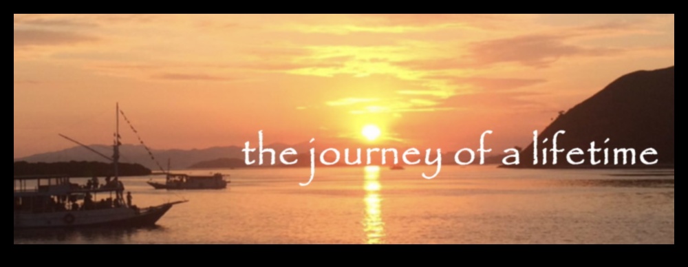 رحلة هزة: دليل المسافر إلى وجهات مثيرة