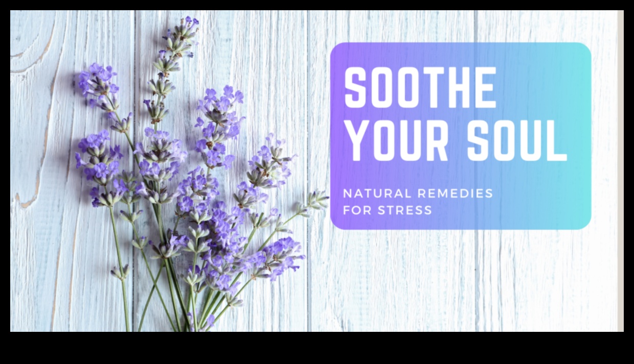 تهدئة روحك: تقنيات الاسترخاء لحياة خالية من التوتر