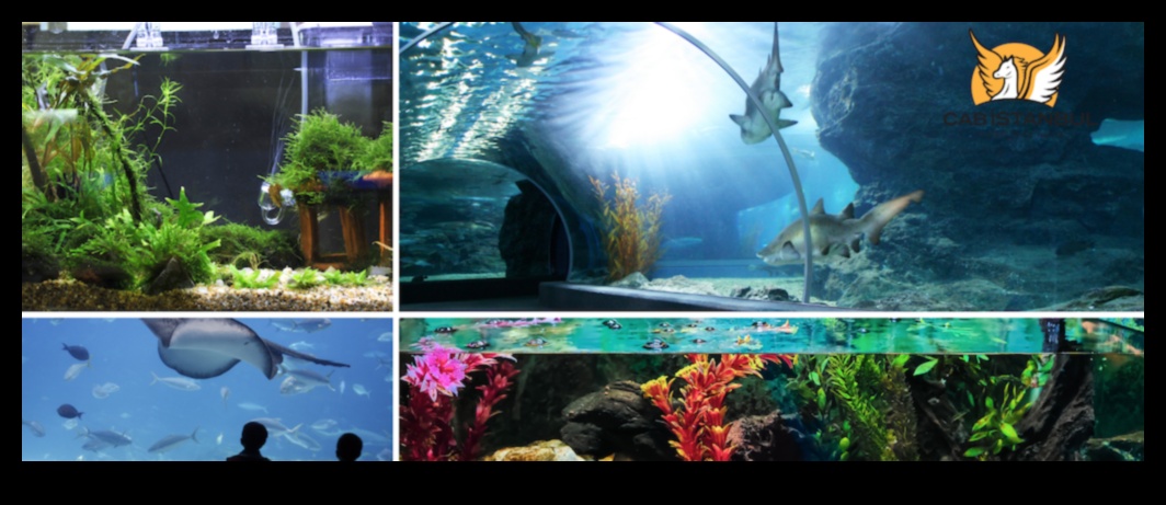 رحلات حية: لوحة من مغامرات السفر الفاخرة